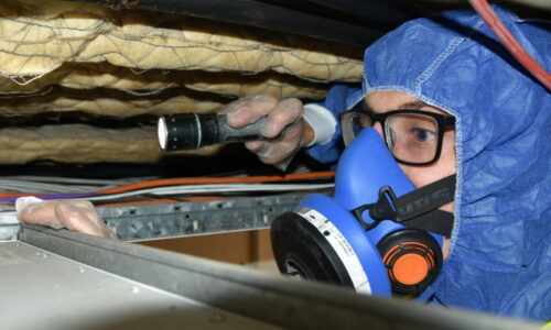 Asbestos Survey