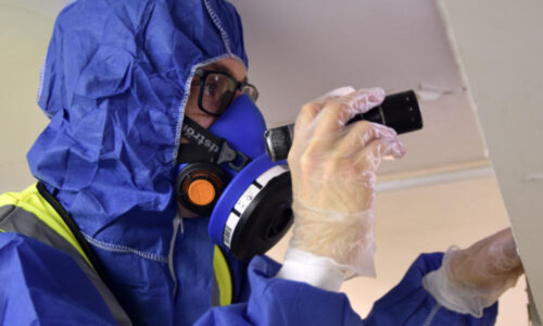 Asbestos Survey